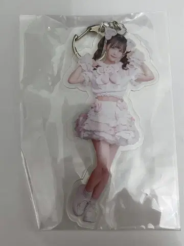 코이보시 하루카 아크링 키링