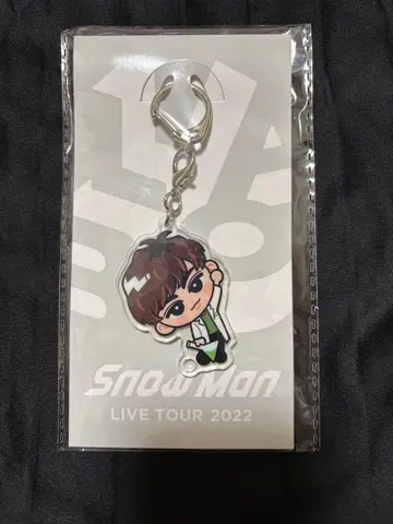 Snow Man LIVE TOUR 2022 아베 료헤이 키링