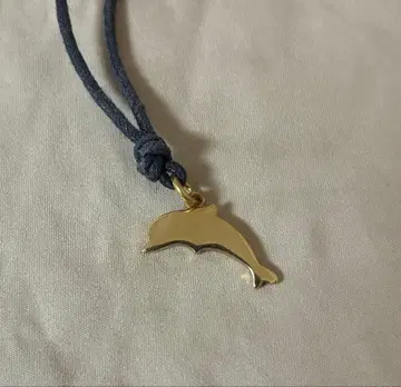 포메라토 도도 돌고래 모티브 참