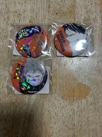 하이큐 히나타 쇼요 카게야마 토비오 올스타 캔뱃지