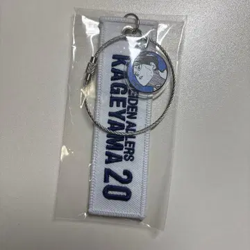 하이큐 크로스키링 카게야마 토비오 굿즈 V리그