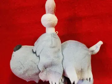 포켓몬 센터 보치 포켓몬 센터 마스코트 봉제 인형