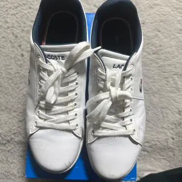 LACOSTE 화이트 캐주얼 스니커즈