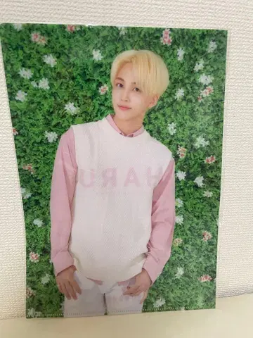 SEVENTEEN 정한 2019 HARU 클리어 파일