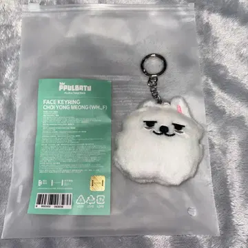 뿔바투 PPULBATU 최수빈 최연준 페이스 키링