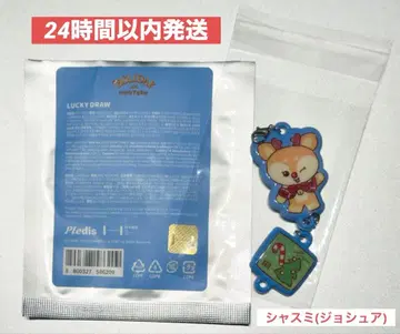 세븐틴 MINITEEN HOLIDAY 럭키 드로우 샤스미