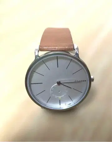 SKAGEN 스카겐 손목시계 가죽 벨트