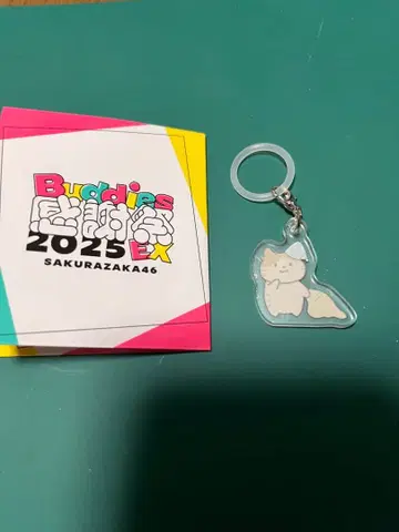 사쿠라자카46 야마시타 시즈키 랜덤 메지루시 참