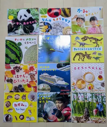 선차일드 빅 사이언스 12권 세트