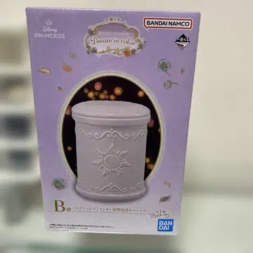 Disney Princess Dream in Color