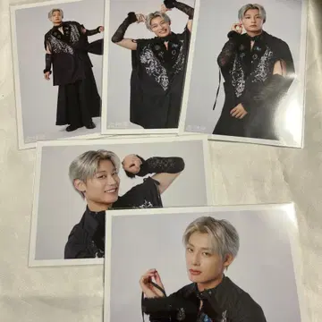 초특급 아로하 NINE LIVES 브로마이드 A 컴프