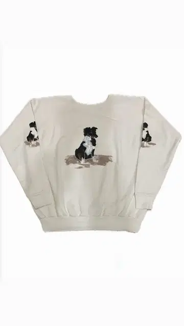 개 자수 래글런 맨투맨 USA제