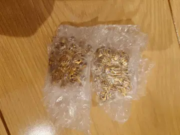 제일복권 죠죠의 기묘한 모험 죠죠 월드 H상 2종 세트