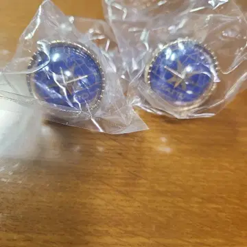 프로세카 린라이 세카라이 KAITO