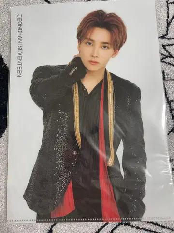 JEONGHAN SEVENTEEN 2018 IDEAL CUT 클리어 파일