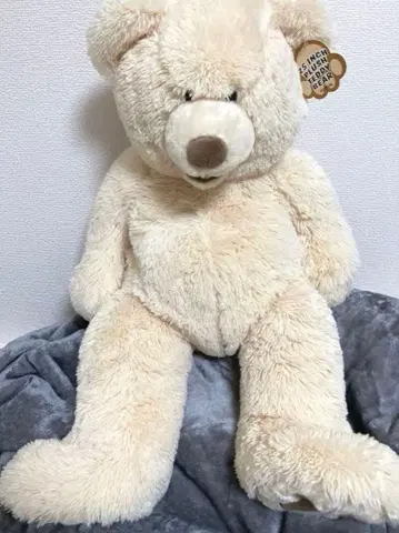 코스트코 25인치 (약 65cm) 테디베어 봉제 인형