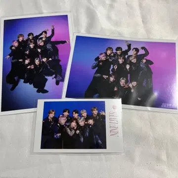 초특급 NINE LIVES 미니 포토 브로마이드 A 단체