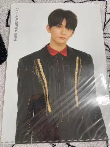 조슈아 SEVENTEEN 2018 IDEAL CUT 클리어 파일