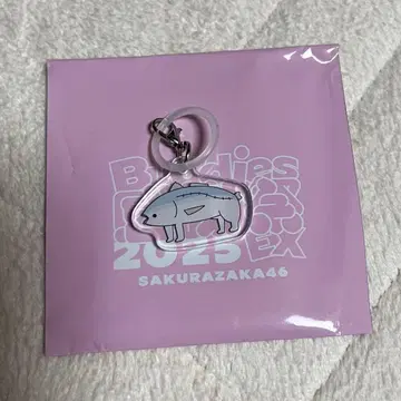 사쿠라자카46 메지루시 참 마츠모토 카즈코