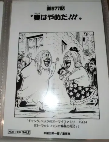 로라 쉬폰 갱 뱃지 도비에 브로마이드 ONEPIECE 원피스