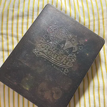 프리티 리듬 프리즘 스톤 케이스