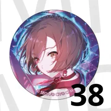 MEIKO 프로세카 프로젝트 세카이 글리터 캔뱃지 36C 38점