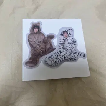 사쿠라자카46 동물 인형옷 랜덤 스티커 모리타 히카루 타무라 호노