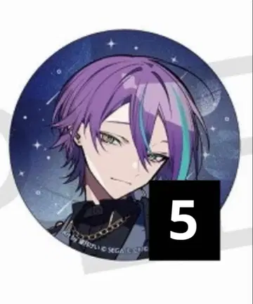 프로세카 카미시로 루이 커넥트 라이브 캔뱃지 커넥트 라이브 앙스타 콜라보