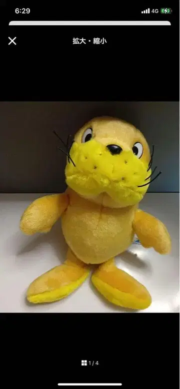 하케이지마 수족관의 시이타 군 봉제 인형