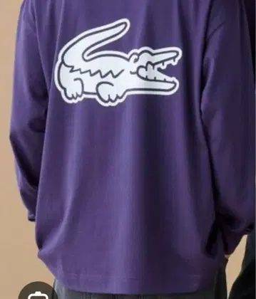 LACOSTE 백 프린트 T셔츠 M 사이즈 ZSV3