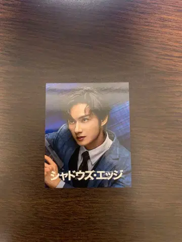 쉐도우즈 엣지 특전 비주얼 카드 준