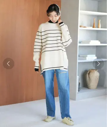 이에나 보더 니트 슬로브 이에나, 베이직 재고, 스픽 앤 스팬