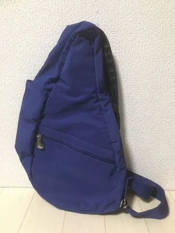 The Healthy Back Bag