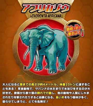 슈퍼 애니멀&co. 앤드코 아프리카 코끼리