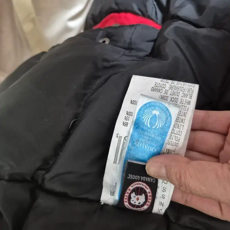 캐나다구스 레드패딩 (Canada Goose red Padded J