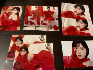 이소베 카린 크리스마스 브로마이드 2025