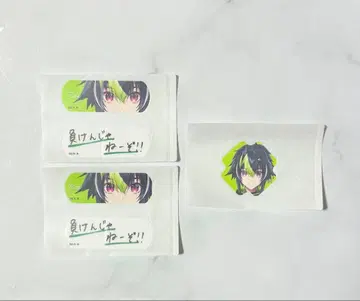 니지산지 이나미 라이 참에이드 CharmAid vol.1