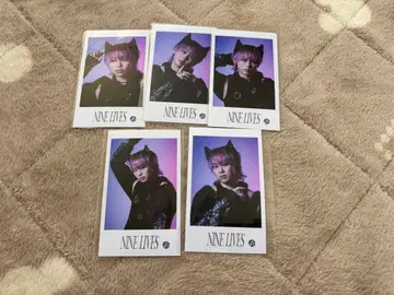 초특급 슈야 NINE LIVES 미니 사진 컴프