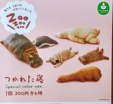팬더의 구멍 지친 잠 Special color ver. 전 6종 세트