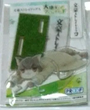 문호 스트레이독스 다자이 오사무 고양이 아크릴 스탠드
