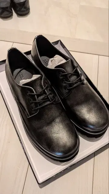 SERACE 하이 솔 샤크 레이스업 슈즈