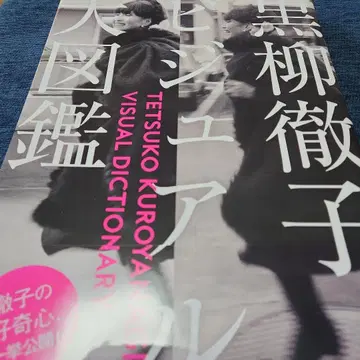 쿠로야나기 테츠코 비주얼 대도감