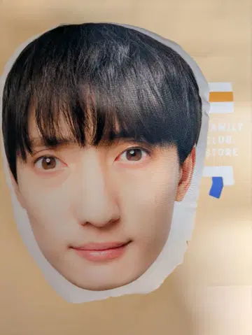 카와시마 노엘 페이스 쿠션