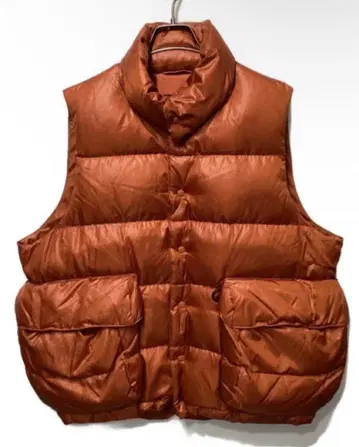 이번 주까지 TECH BACKPACKER DOWN VEST S