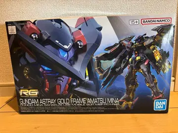 RG 골드 프레임 아마츠 미나 기동전사 건담 SEED ASTRAY