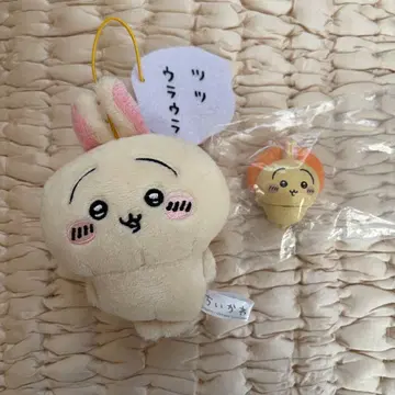 치이카와 (먼작귀) 토끼 츠츠우라 우라 가챠 마스코트 세트 판매