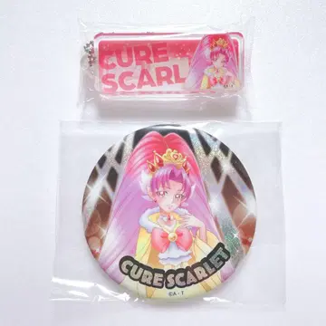 전 프리큐어 20th Anniversary LIVE! 캔뱃지 & 키링