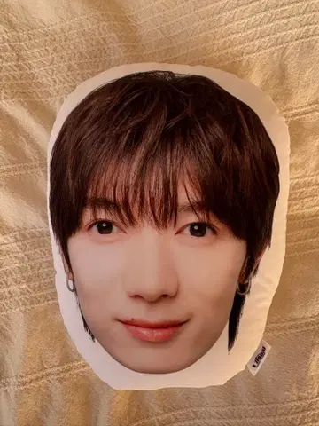 시치고산 카케 타츠야 얼굴형 쿠션