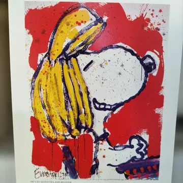 스누피 엽서 톰 에버하트 가발