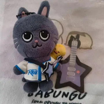 RIIZE 원빈 토냥이 10cm 봉제 인형 키링 MD